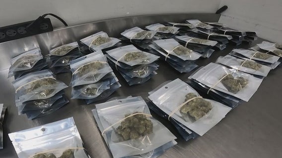 Arizona looking into if investors used 'predatory tactics' on social equity marijuana license winners