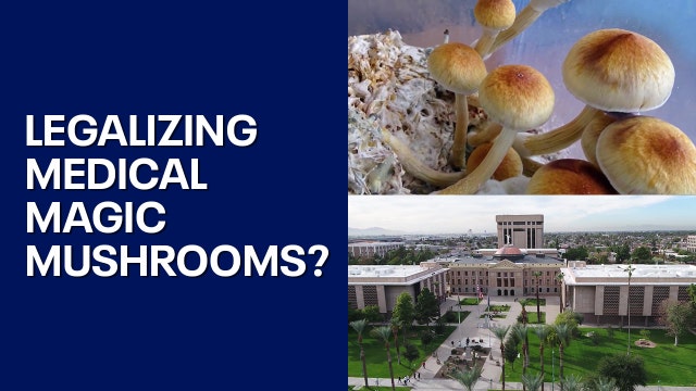 Medical magic mushrooms: Vets join lawmakers in support of efforts to legalize it