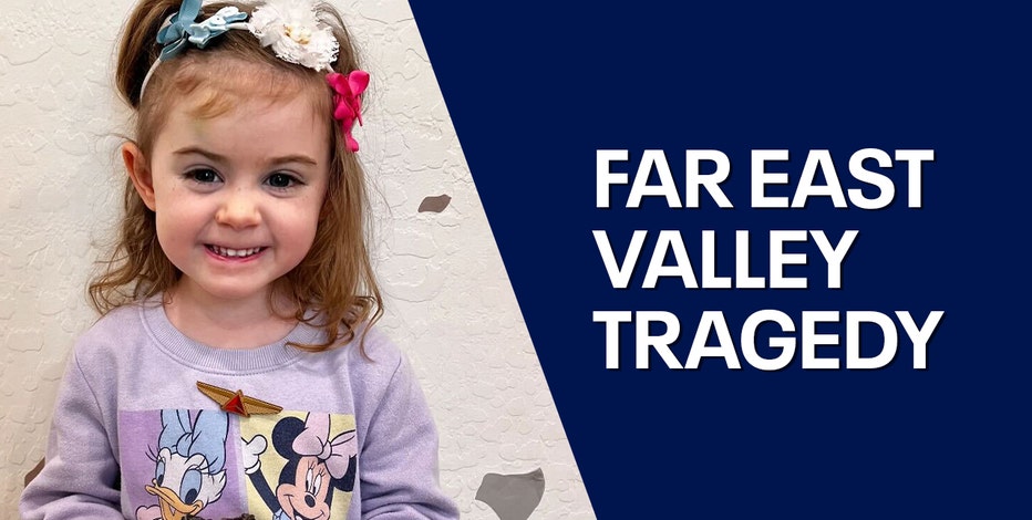 Arizona girl who survived fall into pool remembered following deadly crash
