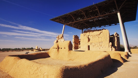 Noxious weed problem prompts Casa Grande Ruins picnic area closure