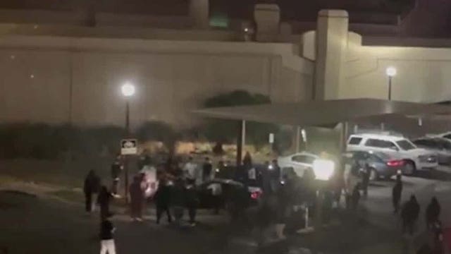 Tempe street racing investigation: 15 arrested, 14 vehicles seized, 2 guns recovered