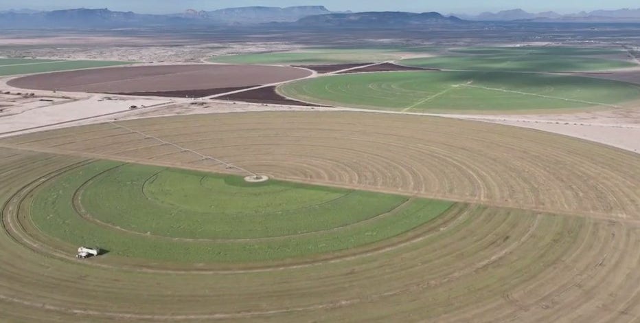 A Saudi business is leaving Arizona valley after it was targeted by the state over groundwater use