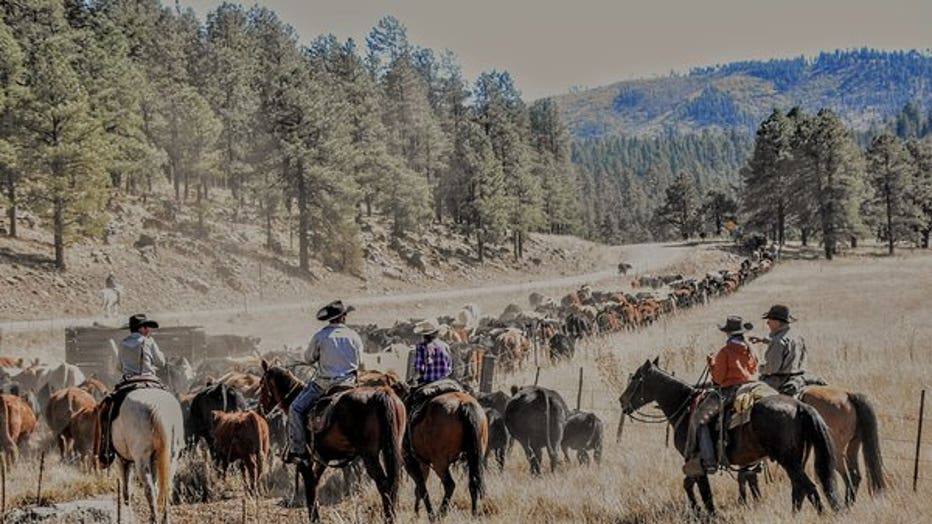 Arizona has changed a lot, but it looks like theres still a lot of Old West to be found here! Thanks Ginger Cheney for sharing!