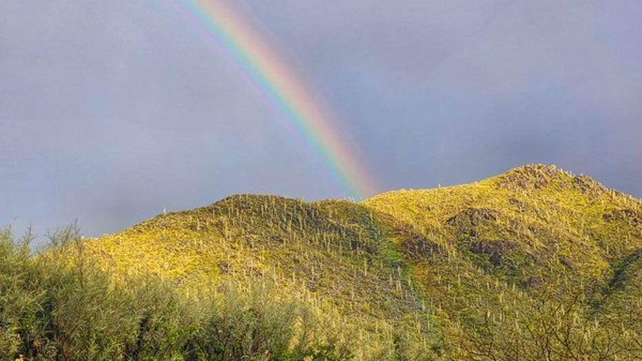 This may not look like Arizona, but we can assure you that this IS Arizona! Thanks Stephanie Meier for taking this photo from Cave Creek!