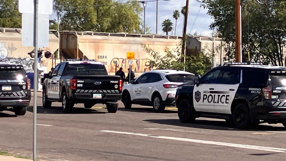 mesa pedestrian v train