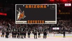 Are Arizona Coyotes license plates still available?