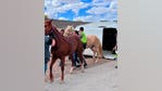 Horse trailer flips sideways in crash on Loop 303, 2 horses rescued by Surprise Fire Department