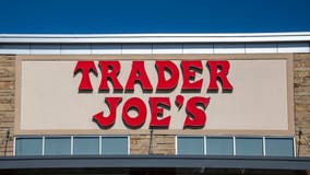 Salmonella infections linked to contaminated basil sold at Trader Joe's: CDC