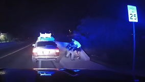 Bodycam footage released of Cottonwood Police shooting shows struggle ensued