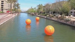 Basketball fans flock from across the globe for Final Four action