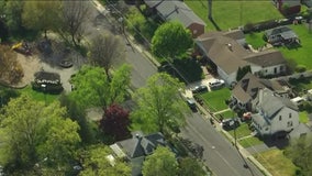 Black bear spotted near neighborhood in New Jersey: police