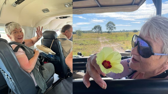 African safari death: Woman who lived part-time in Arizona killed by elephant