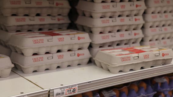 Egg prices are putting a strain on shoppers, restaurant owners, stores and farmers