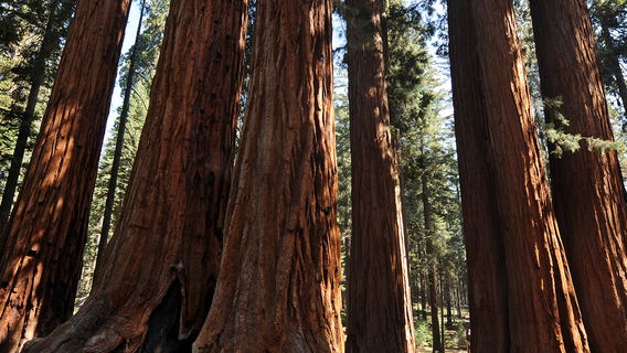 Top US national parks to visit with kids revealed