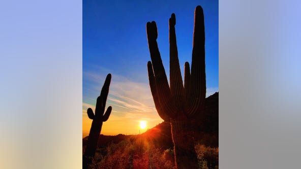 Arizona Photo of the Day - April 2024