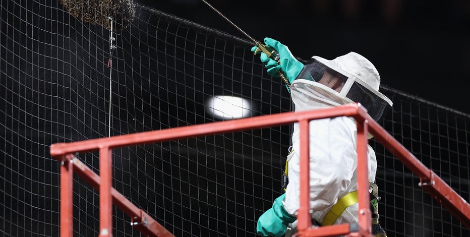 Bee-ware! Swarm of bees causes delay at Diamondbacks-Dodgers game