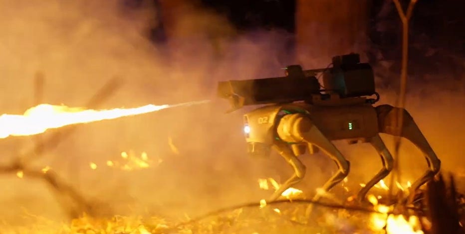 Flame-throwing robotic dog unleashed for sale in US