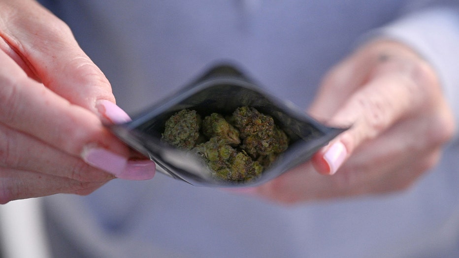 A bag of "flower", or marijuana bud. (Photo by ROBYN BECK/AFP via Getty Images)
