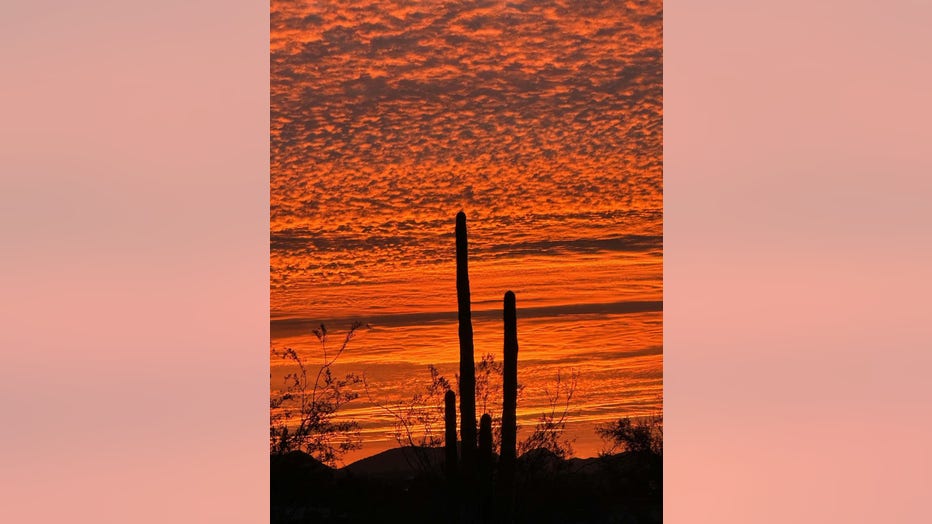 Eclipse or not, this is always a great view to end the day with! Thanks Page Ballard for sharing this amazing view from New River!