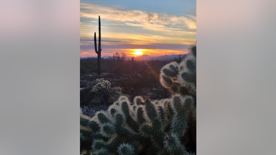 Quick! Enjoy this view of the desert before it heats up again! Thanks Jason and Jennifer Martin for sharing!