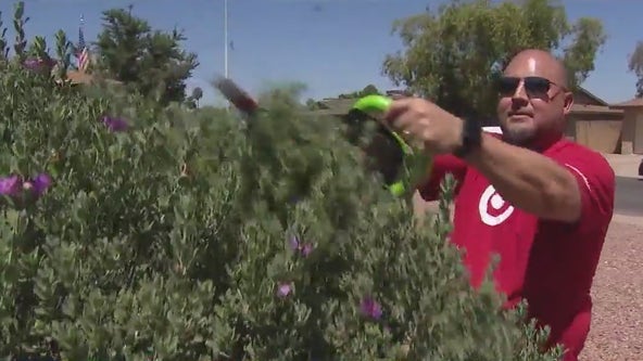 'Let's Pull Together' program in Chandler helps senior residents with yard work