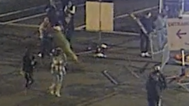 Video: Arizona doctor Arthur De Luigi accused of assault at WM Phoenix Open