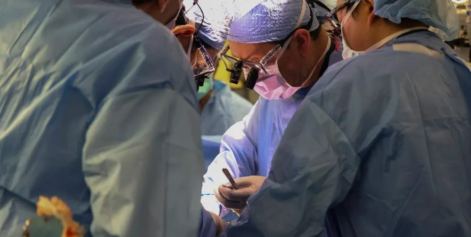 1st person to receive pig kidney transplant dies nearly 2 months later