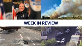 PD chief faces hostile workplace accusations; AZ couple receives pleasant surprise: this week's top stories