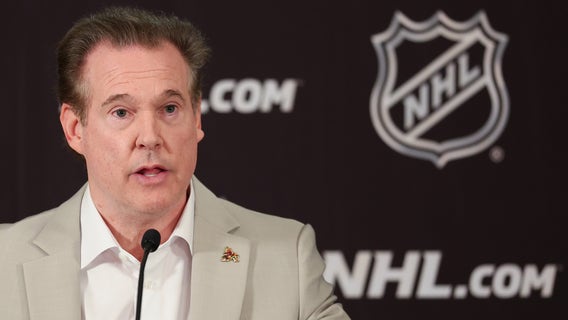 Alex Meruelo walking away from Coyotes' ownership after land auction canceled: report