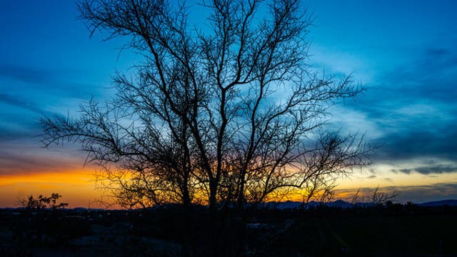 Arizona Photo of the Day - June 2024