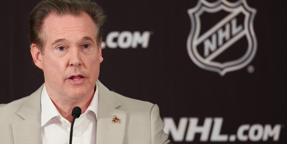 Alex Meruelo walking away from Coyotes' ownership after land auction canceled: report