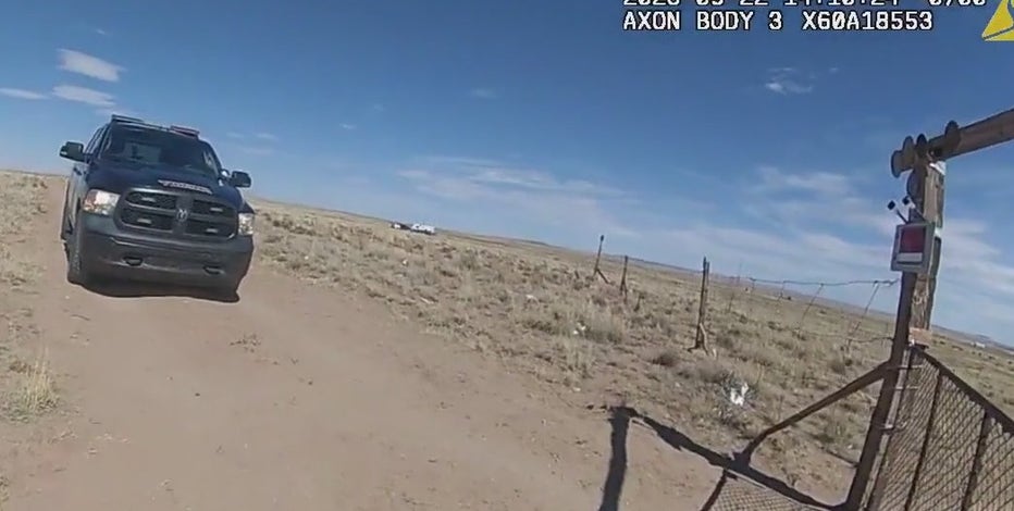 'Acted within agency policy': Abandoned dogs shot, killed by Apache County Sheriff's deputy