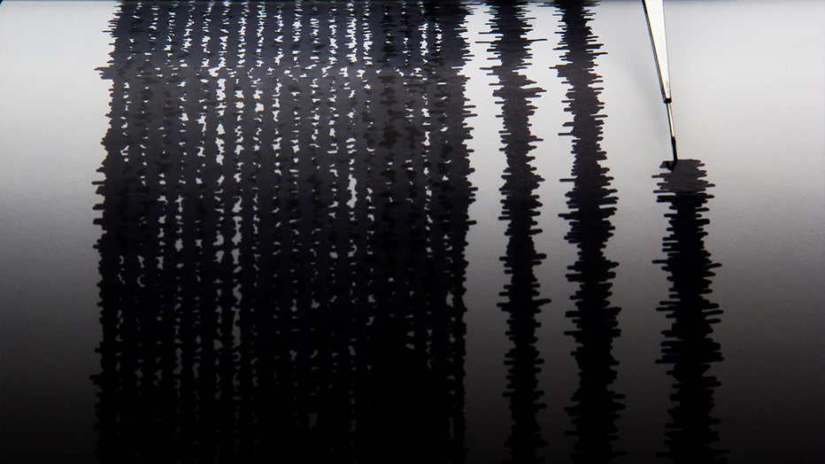 A seismograph (Photo by Muhammad Fauzy/NurPhoto via Getty Images)