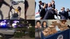 Assassination attempt on Trump; reptile rescued from highway storm drain: this week's top stories