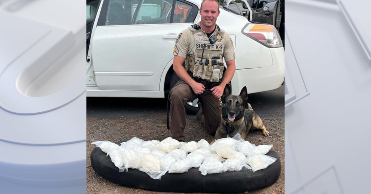 K9 officer Dex sniffs out nearly 30 pounds of meth during traffic stop ...
