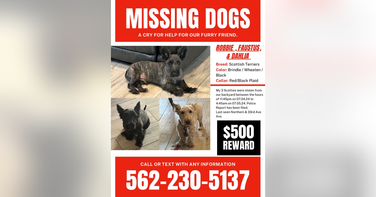 Reward out for 3 missing dogs that were stolen in Phoenix | FOX 10 Phoenix
