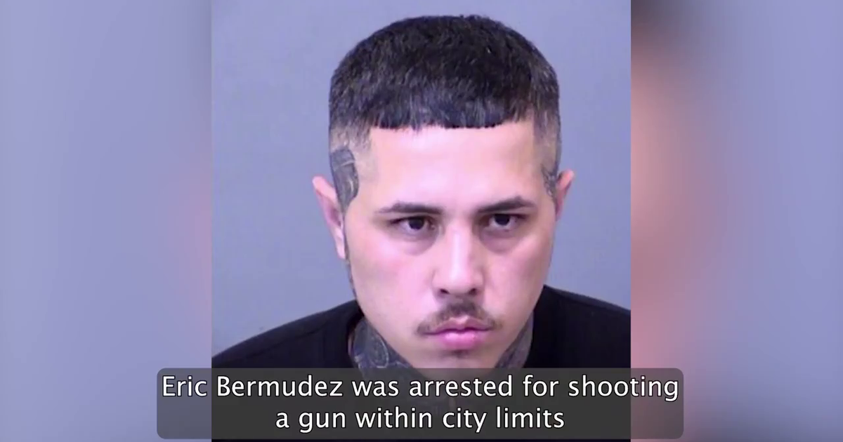 Man arrested in Glendale after allegedly firing off nearly a dozen ...