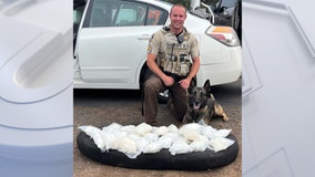 K9 officer Dex sniffs out nearly 30 pounds of meth during traffic stop in Coconino County