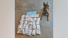 Fentanyl drug bust in Prescott leads to 2 arrests thanks to police K9, Kato