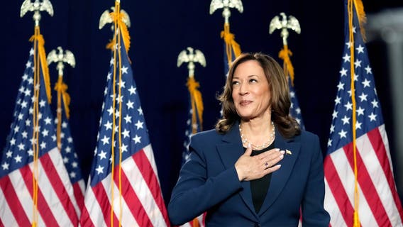 Arizona Democratic Party delegates pledge support to Kamala Harris