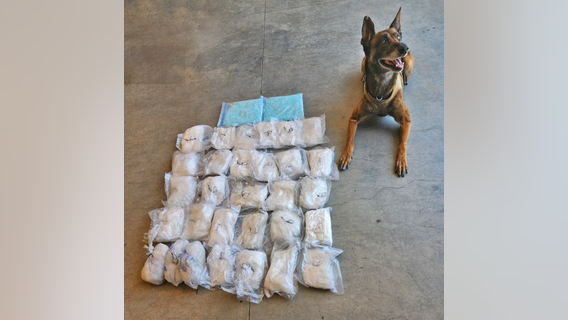 Fentanyl drug bust in Prescott leads to 2 arrests thanks to police K9, Kato
