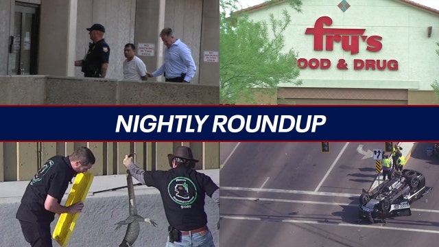 Arrest made in cold case murder; critter rescue along Phoenix freeway | Nightly Roundup