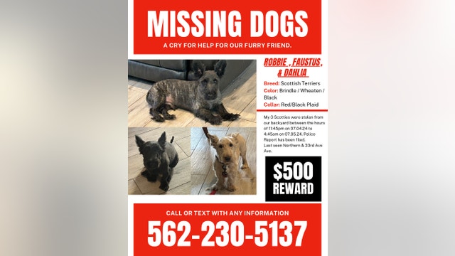 Reward out for 3 missing dogs that were stolen in Phoenix