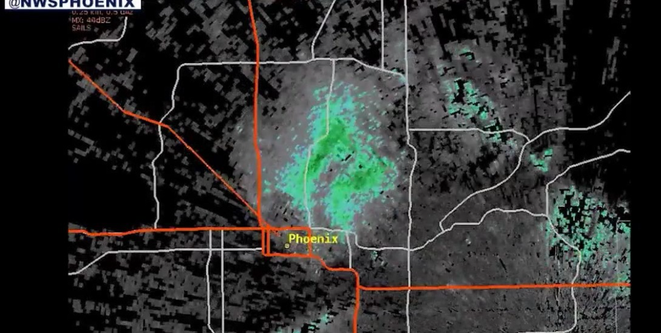 Bat swarm registered as rain on Phoenix weather radar; bigger swarms expected later this summer