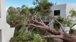 Monsoon: Tuesday night storm left trail of destruction in the Phoenix area