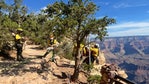 BASE jumper dies at Grand Canyon