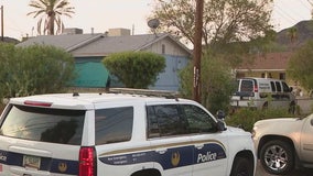 Argument leads to deadly Phoenix shooting, suspect arrested: PD