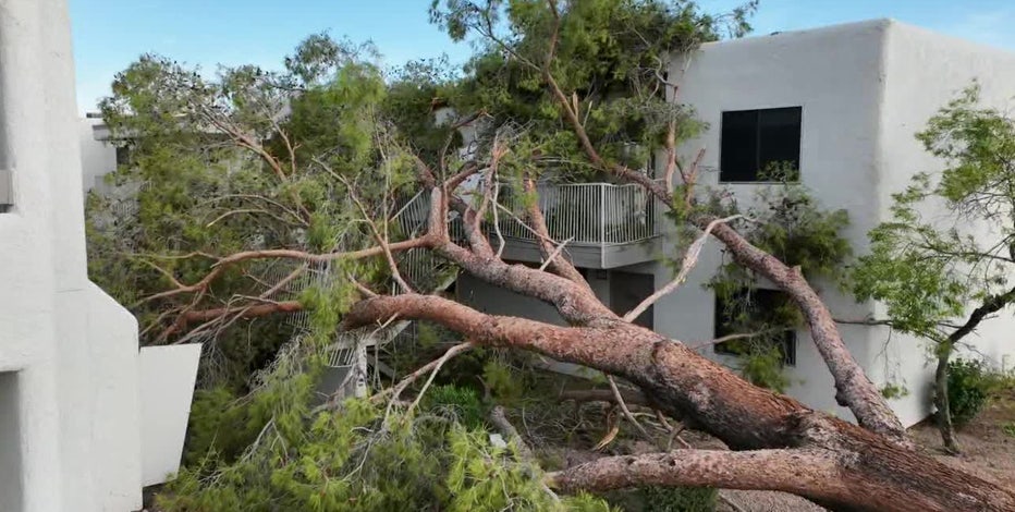 Monsoon: Tuesday night storm left trail of destruction in the Phoenix area