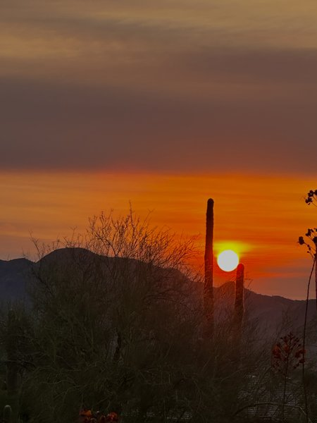 Arizona Photo of the Day - September 2024