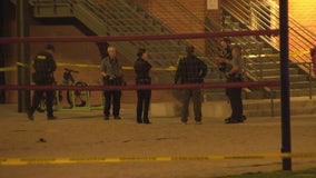 Man shot, killed on University of Arizona volleyball courts; suspect arrested